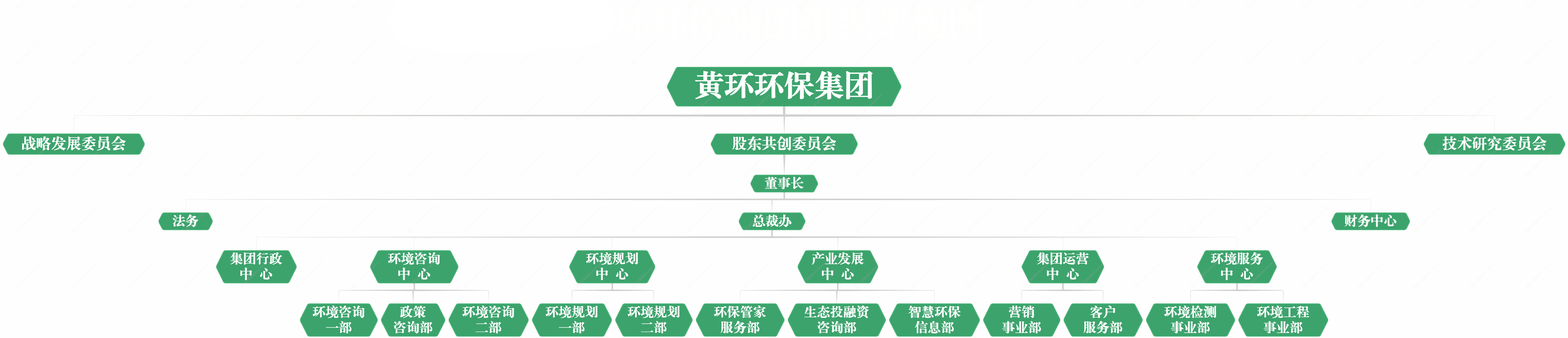 集團架構(gòu)總圖2024年.jpg